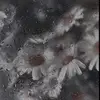 alex.fern.galloway - @alex.fern.galloway - TikTok