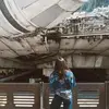 fernanda - @ferngeel - TikTok