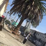 GARDENA 🗣️ - @fern_geez - Instagram