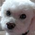 Fern Goldstein - Facebook