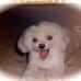 Fern Goldstein - Facebook