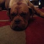 Gordon Harry Fern - @gordon.fern - Instagram