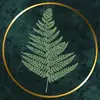 Fern Green - @ferngreendesigns - TikTok