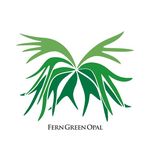 Fern Green Opal - @dong_plants - Instagram