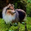 green.fern - @green.fern - TikTok