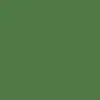 i’m fern green - @ferngreen_ - TikTok