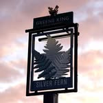 The Silver Fern - @silverfern.greeneking - Instagram