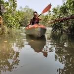 Gregory Fernandes - @gregoryfernandes2309 - Instagram