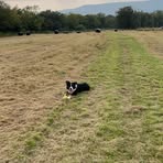 Fern Griffiths - Facebook