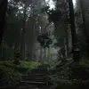 <3 - @fern.grove - TikTok