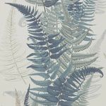 Fern Grove - @fern.grove.system - Instagram