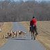Fern Grove Farm - Facebook