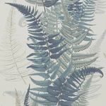 Fern Grove Spam - @fern.grove.spam - Instagram