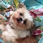 Fern Gully - @fern_gullers - Instagram