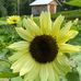 Fern Gully Farm - Facebook