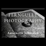 FernGully Photography - @_fern_gully_01 - Instagram