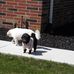 Fern P. Haley - Facebook