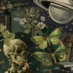 Fern Harris - @html_worm.exe - Instagram