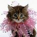 Fern Harrison - Facebook
