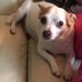 Fern Hawley - Facebook