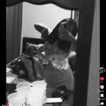 Alejandra Fernandez - @alesita_fernandez.hinton - Instagram