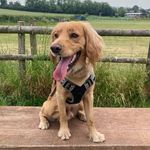 Fern Riley Holden - @learnwithferntrustytrails - Instagram