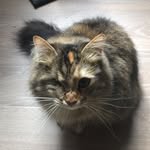 Fern Holder - @whereintheworldismyeye - Instagram