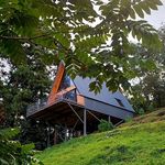 fern_house_ge - @fern_house_ge - Instagram