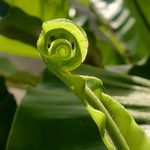 Fern House Retreat - @fernhousephuket - Instagram