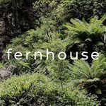 Fernhouse - @fernhouseapollobay - Instagram