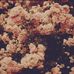 Fern Howard - Facebook