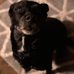 Fern Humphrey - Facebook