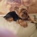 Fern Jackson - Facebook
