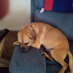 Fern James - @fernb.jam - Instagram