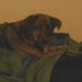 Fern James - Facebook