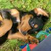 Fern James - @adventures_of_fern_wcs - TikTok