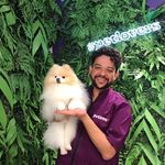 James Fernandes - @jamesfernads - Instagram