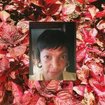 Fern Jenkins - @fernfab62 - Instagram