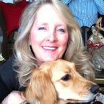 Carol Fern Jensen - @salidog2020 - Instagram