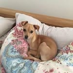 Fern Jordan - @fernjordan - Instagram