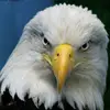 fernkemp1 - @fernkemp1 - TikTok