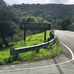 Fern Cottage, Kennedy Grove Regional Prak - Facebook