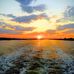 Fern Kincaid - Facebook