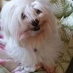 Fern Kincaid - @fernkincaid - Instagram