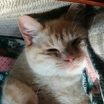 Fern King - @king.fern - Instagram