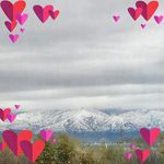 Fern King - @fernking35 - Instagram