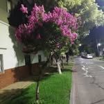 @fernlamana - Instagram