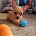 Fern Landry - Facebook