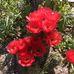 Fern McLaughlin - Facebook