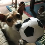 @fernlea.antiques - Instagram